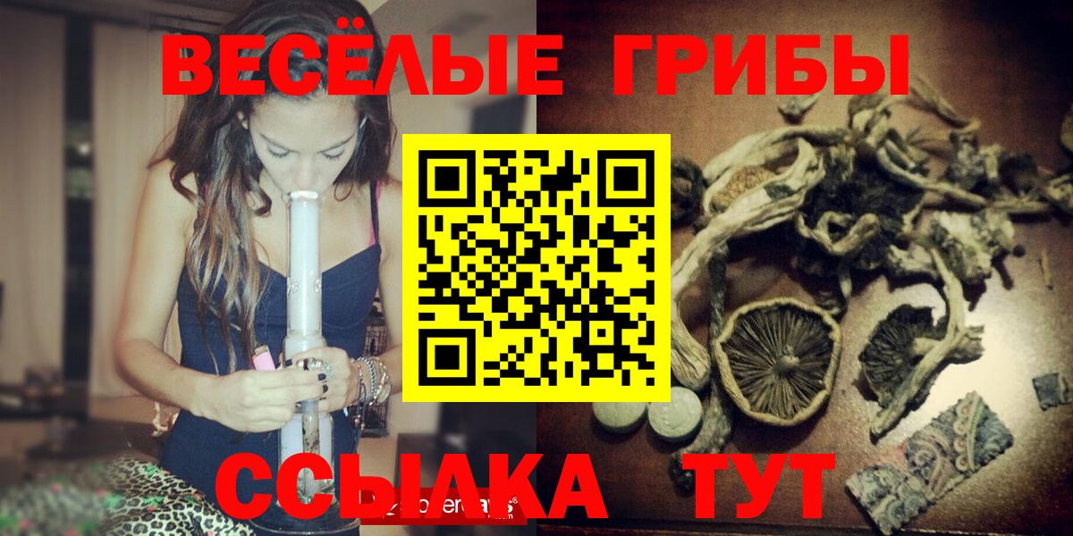Галлюциногенные грибы Psilocybine cubensis Бугуруслан