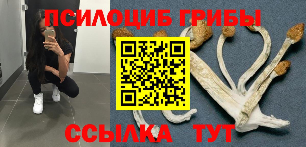 Бугуруслан  Галлюциногенные грибы мухоморы  закладки  Вход с VPN 